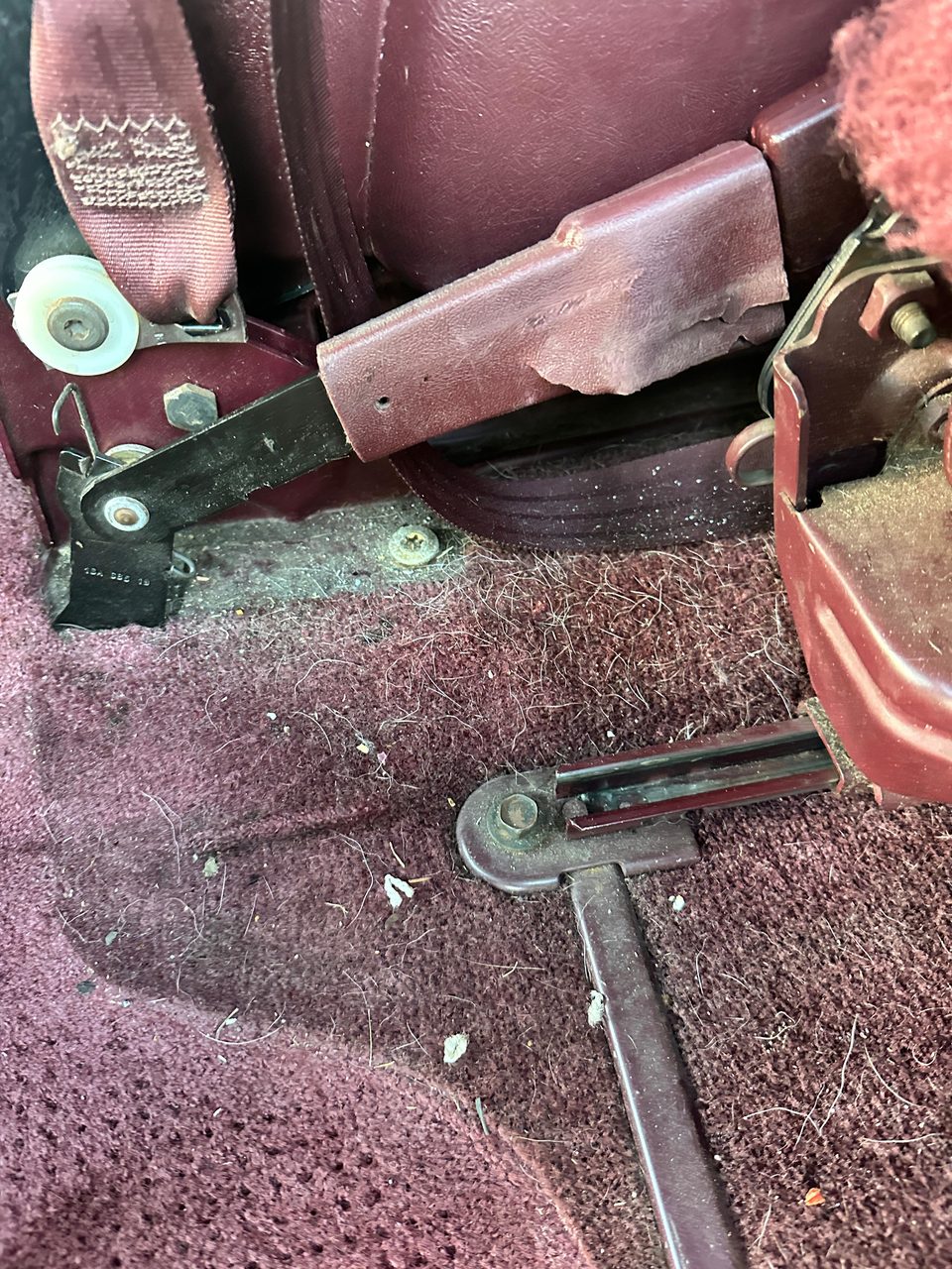 Car seat covered in pet hair before detailing — Arc Detailing Calgary